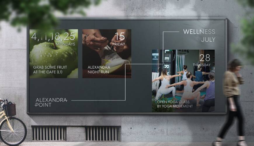 吴堡县画册设计公司如何进行品牌审核